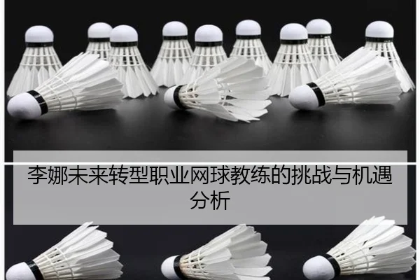 李娜未来转型职业网球教练的挑战与机遇分析